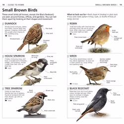 ISBN RSPB What's that Bird? book Science & nature English Paperback 128 pages