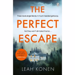 ISBN The Perfect Escape, English, Paperback, 384 pages
