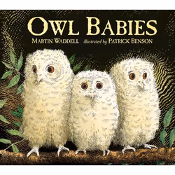 ISBN Owl Babies: Board Book, 24 pages