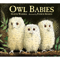 ISBN Owl Babies: Board book 24 pages