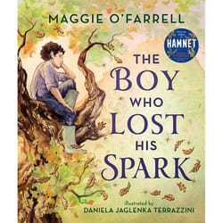 ISBN The Boy Who Lost His Spark book Hardcover 112 pages
