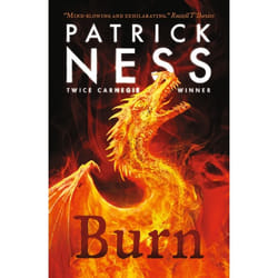 ISBN Burn book Paperback 384 pages