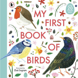 ISBN My First of Birds book Paperback 56 pages