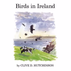 ISBN Birds in Ireland, English, Hardcover, 216 pages