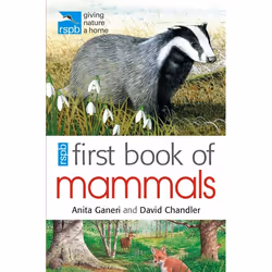 ISBN RSPB First Book Of Mammals, English, Paperback, 48 pages