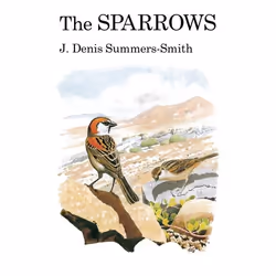 ISBN The Sparrows, English, Hardcover, 352 pages