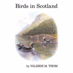 ISBN Birds in Scotland, English, Hardcover, 392 pages