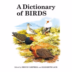 ISBN A Dictionary of Birds, English, Hardcover, 700 pages