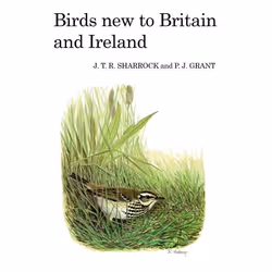 ISBN Birds New to Britain and Ireland, English, Hardcover, 280 pages