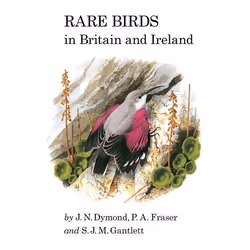 ISBN Rare Birds in Britain and Ireland, English, Hardcover, 368 pages