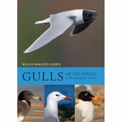 ISBN Gulls of the World (A Photographic Guide), English, Hardcover, 368 pages