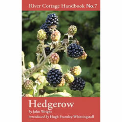ISBN Hedgerow (River Cottage Handbook No.7), English, Hardcover, 256 pages