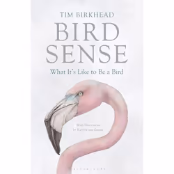 ISBN Bird Sense (What It's Like to Be a Bird), English, Paperback, 288 pages