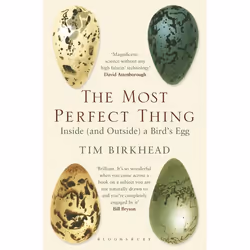 ISBN The Most Perfect Thing (Inside (and Outside) a Bird’s Egg), English, Paperback, 304 pages