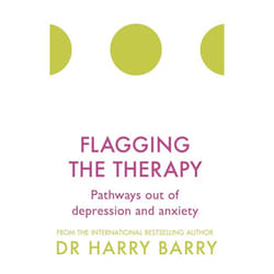 Hachette UK Flagging the Therapy book English Paperback 288 pages