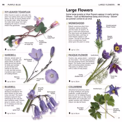 ISBN What's that Flower? book House & garden English Paperback 128 pages