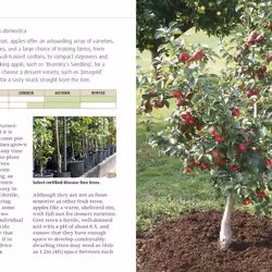 ISBN RHS Grow Fruit and Veg Guide book House & garden English Paperback 560 pages