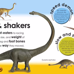 ISBN First Facts Dinosaurs book English Hardcover 34 pages