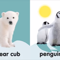 ISBN Baby Touch and Feel Fluffy Animals book Children & teenagers English Hardcover 14 pages