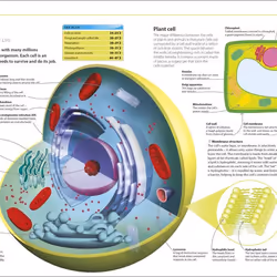 ISBN Help Your Kids with Science book English Paperback 256 pages