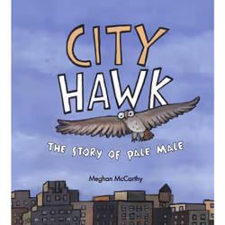 ISBN City Hawk, English, Hardcover, 40 pages