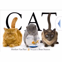ISBN Cat, English, 20 pages