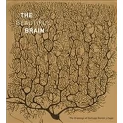 ISBN Beautiful Brain : The Drawings of Santiago Ramon Y Cajal, Art & design, English, Hardcover, 208 pages
