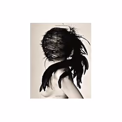 ISBN Stoppers: Photographs from My Life at Vogue, Art & design, English, Hardcover, 256 pages