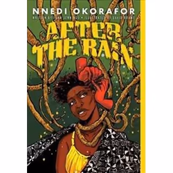 ISBN After the Rain, Fantasy, English, 144 pages
