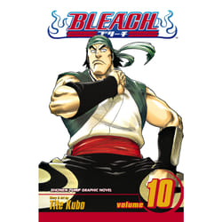 ISBN Bleach, Vol. 10