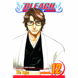 ISBN Bleach, Vol. 12, English, Trade Paperback, 208 pages