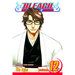 ISBN Bleach, Vol. 12