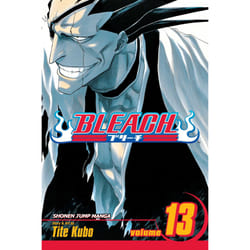 ISBN Bleach, Vol. 13