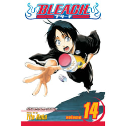 ISBN Bleach, Vol. 14
