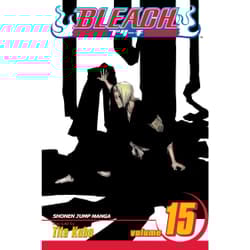 ISBN Bleach, Vol. 15