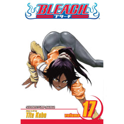 ISBN Bleach, Vol. 17
