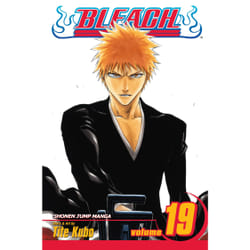 ISBN Bleach, Vol. 19