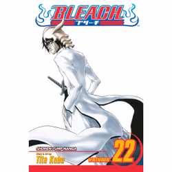 ISBN Bleach, Vol. 22, English, Trade Paperback, 216 pages