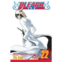 ISBN Bleach, Vol. 22