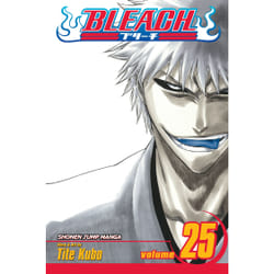 ISBN Bleach, Vol. 25