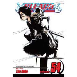 ISBN Bleach, Vol. 54