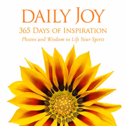 ISBN Daily Joy, Hardcover, 528 pages