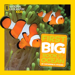 ISBN National Geographic Little Kids First Big Book of the Ocean, English, Hardcover, 128 pages
