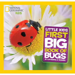 ISBN National Geographic Little Kids First Big Book of Bugs, English, Hardcover, 128 pages