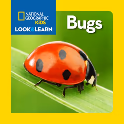 ISBN National Geographic Kids Look and Learn: Bugs, English, Hardcover, 24 pages