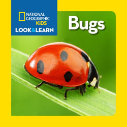ISBN National Geographic Kids Look and Learn: Bugs