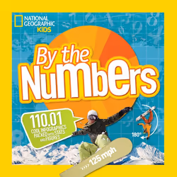 ISBN By the Numbers, English, Paperback, 256 pages
