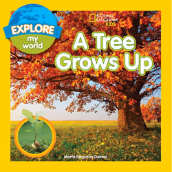 ISBN Explore My World A Tree Grows Up, English, Paperback, 32 pages