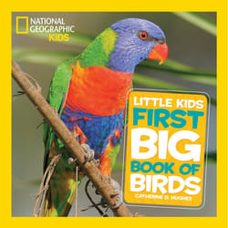 ISBN National Geographic Little Kids First Big Book of Birds