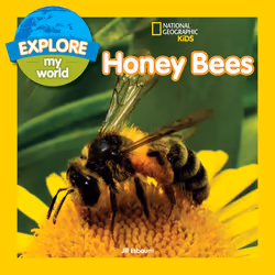 ISBN Explore My World: Honey Bees, English, Paperback, 32 pages